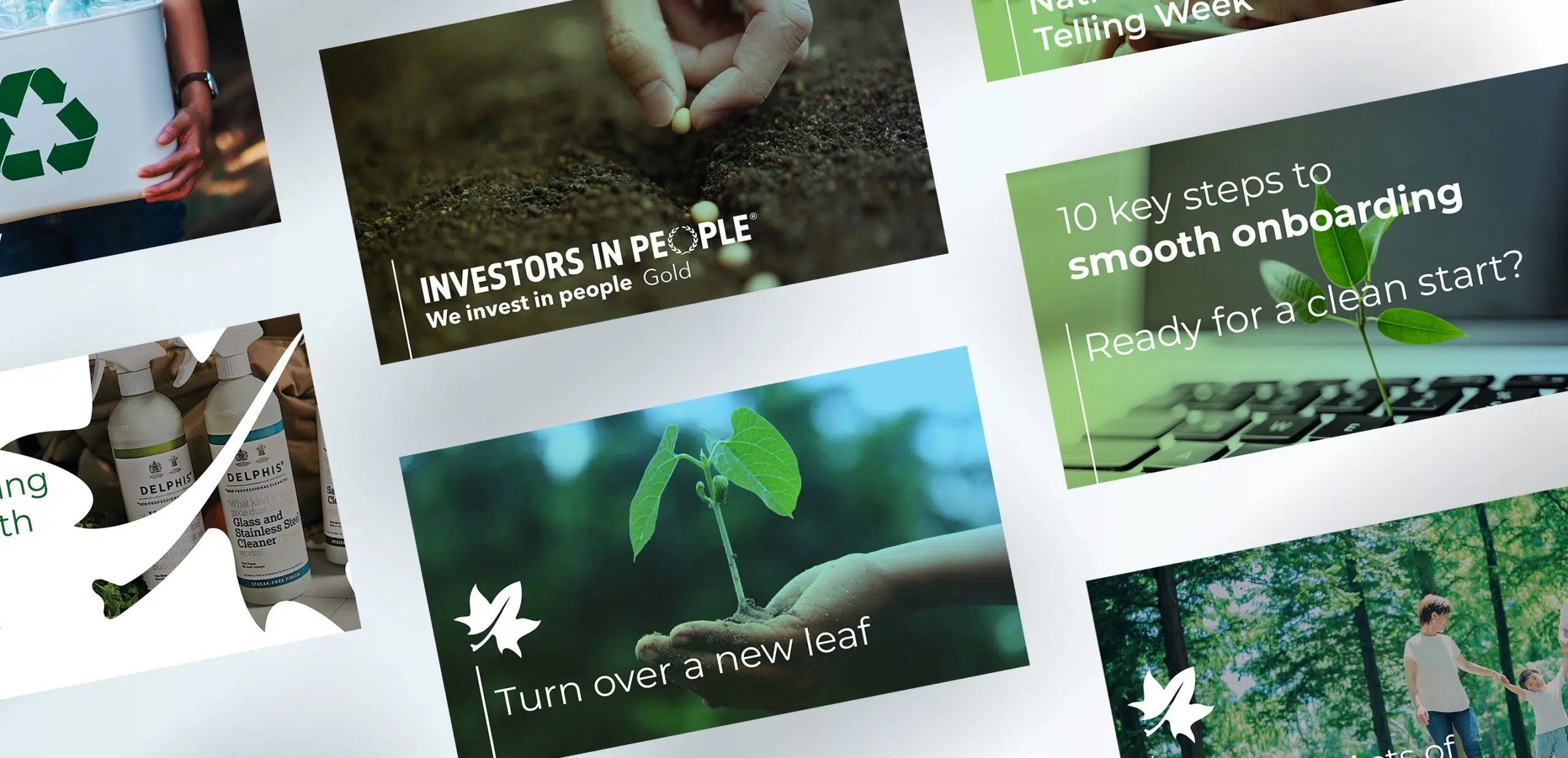 Conversion Marketing agency Drew+Rose developed a digital campaign for long-standing partner, commercial cleaning company, GreenZone